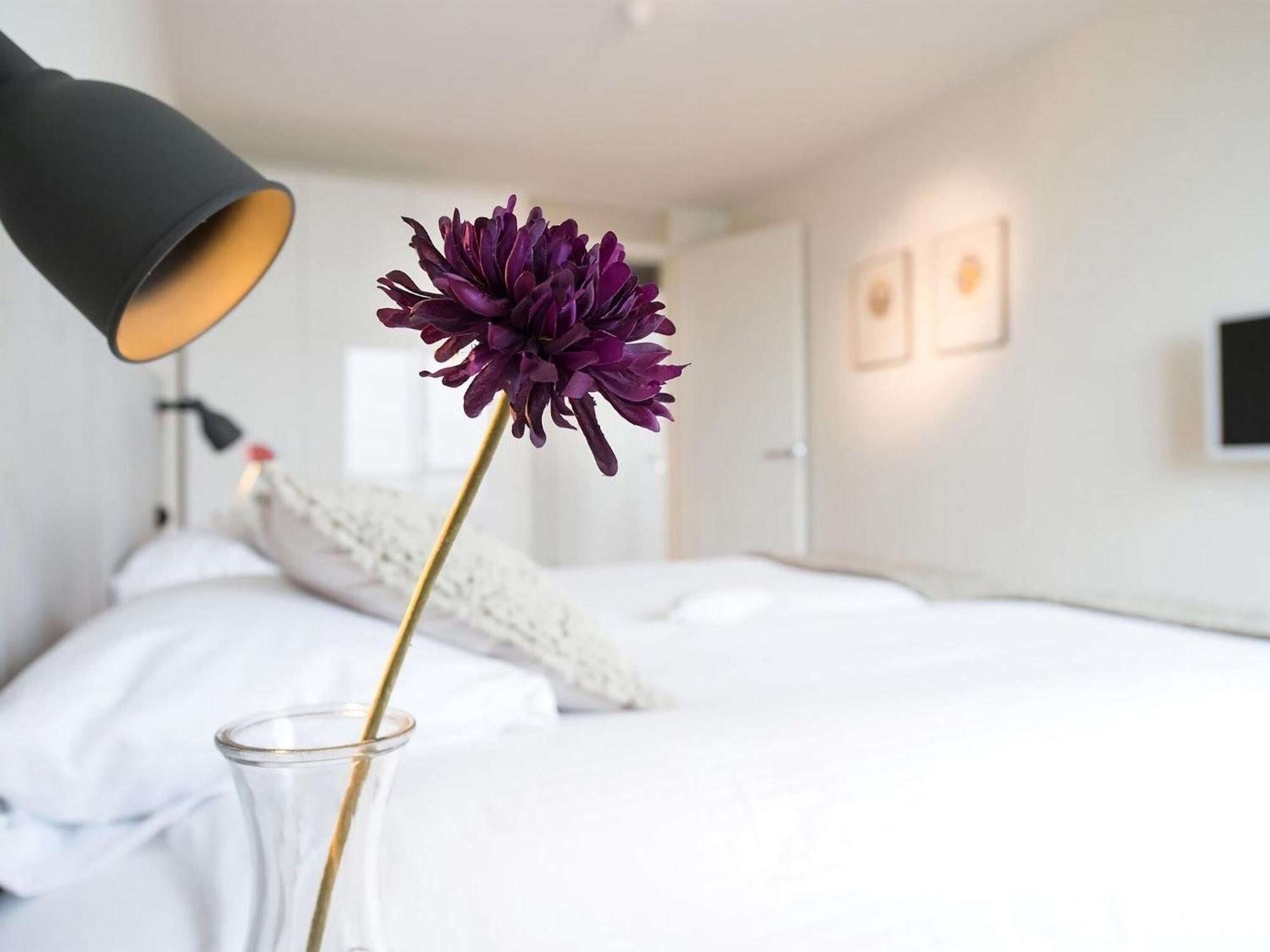 Appartement Spacious Modern In Scheveningen Den Haag